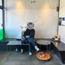 소명세탁소 | 대구 남산동 레트로 감성 카페 소명커피바 후기