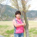 백수건강원 Daum카페