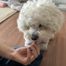 댕이곳간 이미지