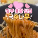 국수나무용황지구점