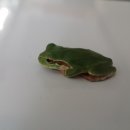 황금사우나 이미지