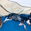 아이편한세상 이미지