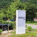 담양버치 이미지