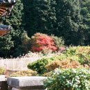 우리들펜션 이미지