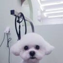 개도만족 이미지