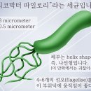 아리스 휘트니스 이미지