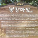 무수3세천 | 계족산에서 연꽃 구름을 보다