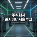 주식회사 용환경산업 | [기업 분석 시리즈] 주식회사 엘지에너지솔루션