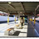 삼성 디지털 프라자 앞 횡단보도 이미지