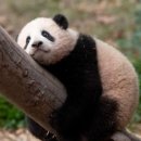 행복사진관 이미지