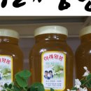 꿀사랑 양봉 이미지