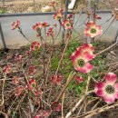 개화농장 이미지