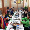 정당새미 이미지