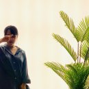 신트리로 이미지