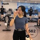 Selin weekly diary ; 생일 전야제 2주 동안의 일기
