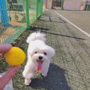 해담약국 이미지