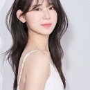 에스헤어 이미지