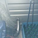 캘리포니아롤앤스시 이미지