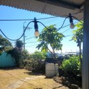 낭낭 | [제주] 촌캉스 감성 낭낭한 숙소 스테이돌담 솔직 후기