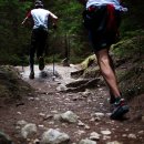 조은운동 이미지