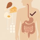 GYM ANABOLIC | [연산PT/연산헬스]🔥 “단백질 1.6g vs 2.2g, 실제 근성장 차이는?”