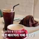 용두천로 | 제천 베이커리 빵지순례 부성당 내돈내산 평일방문 후기