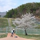 웅동수원지 이미지