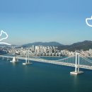 펫닥