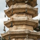 금선다원 | 오대산 월정사(月精寺)