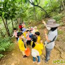 자연유치원 이미지