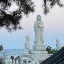 벌떼쉼터
