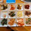 혜빈농원 | 1월 1주 일기