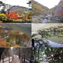 용두산 청과 Daum카페
