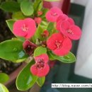 이천우의원 이미지