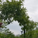 영진사이버대학교 서울캠퍼스 이미지