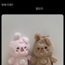 성현체육관 | 식스 팬미팅 ‘Pier 10: All my days’ 막중콘 후기 (잠실실내체육관 2층 17구역 7열 시야/팬미팅 셋리)