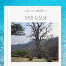 용문면사무소 | 서울 근교 가볼만한곳 양평 용문사 은행나무 가을산책 트래킹 방문 후기