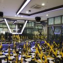 스파리스 이미지