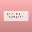 창가에커튼