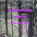 대방주유소 이미지