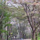 상도근린공원 공중화장실 이미지