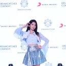 다미컴퍼니 뉴시스