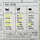 (주)캔두원 | 고양이 사료, 오리젠 캣앤키튼 Origen Cat & Kitten "먹방" (W 마마캣)
