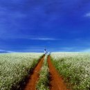 인이네식당 이미지