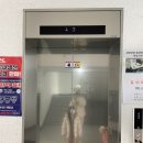여명아울렛