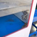 희라낙지 이미지