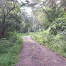 개곡2리 이미지