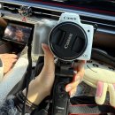 영랑생가 (카페 시랑) | 강진 반값여행 신청방법 그리고 1일차 (숙소 추천, 녹차밭, 사문로98, 영랑생가, 다산초당)