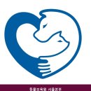 동물보육원 | 동물보육원 서울본부 시설 깔끔 한 곳의 이용 비용 안내