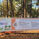 신흥근린공원 | 아이랑 신흥근린공원 유아숲 밧줄놀이터 재방문